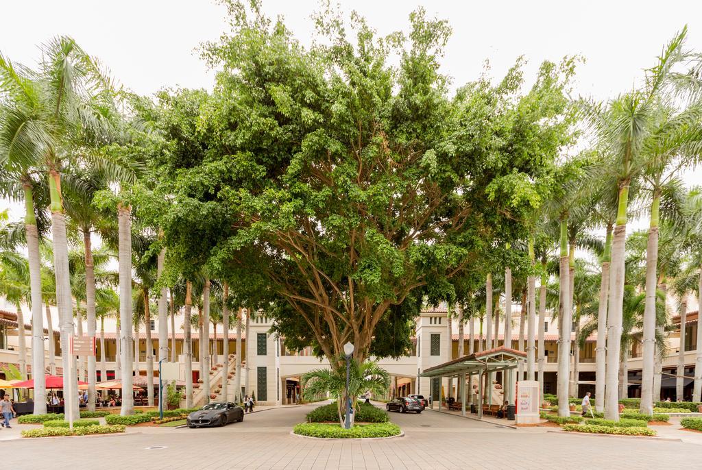 Pelicanstay In Coral Gables Miami Bagian luar foto